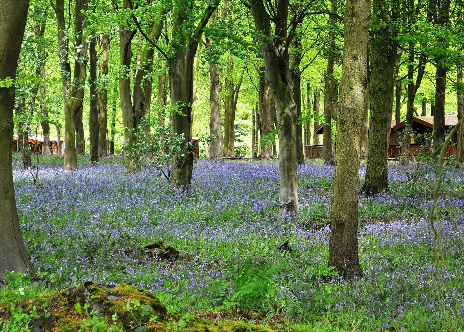 Haven Lodge Legbourne Bagian luar foto